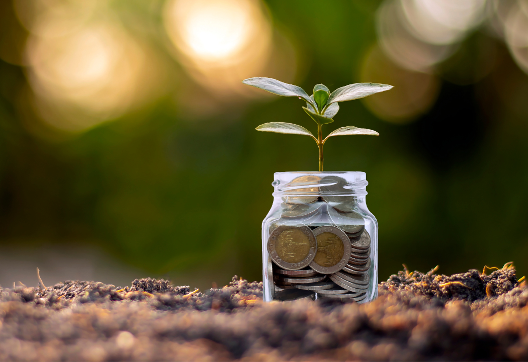 Plant growing from jar of coins