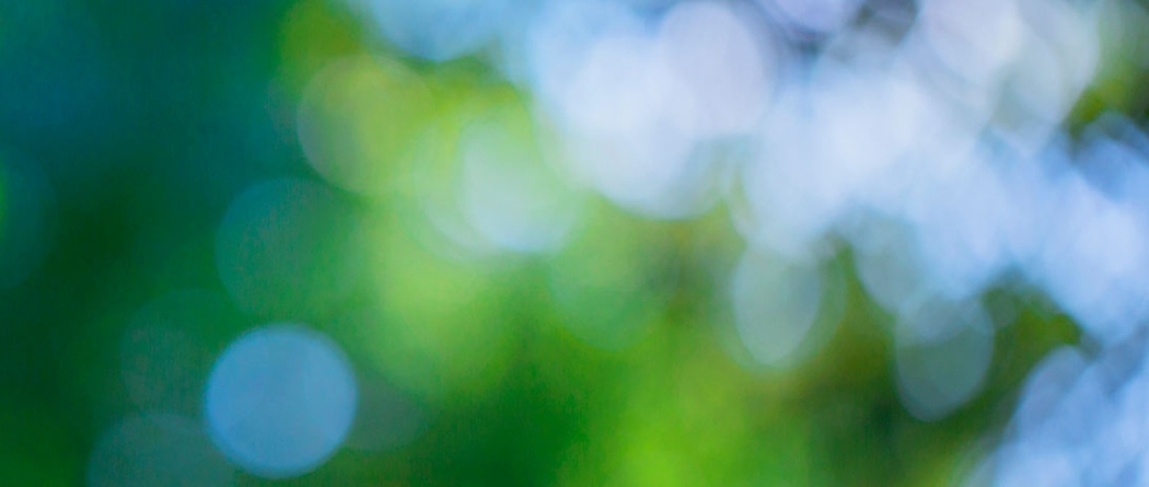 blurred trees and blue sky