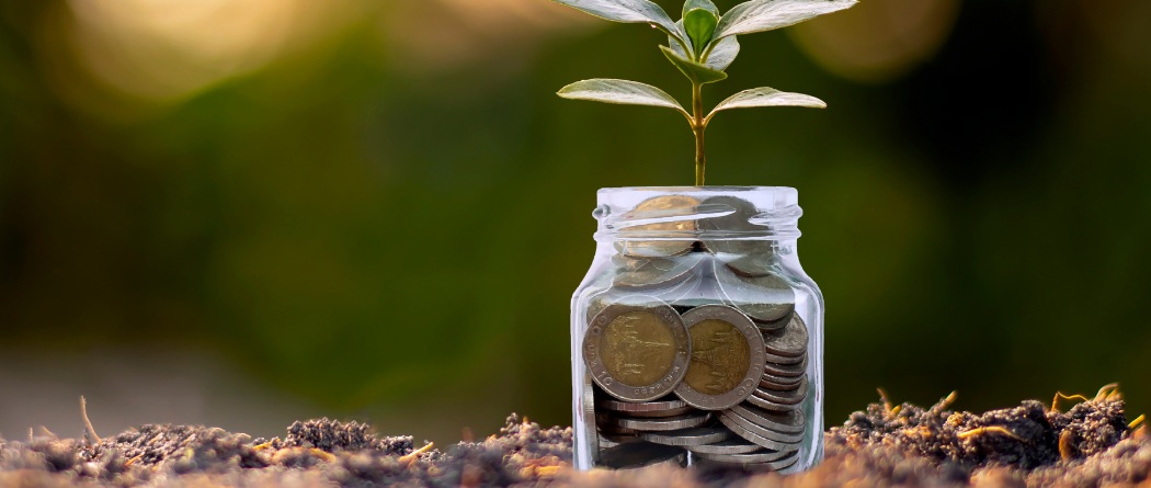 a glass jar filled with coins and a sprout coming out
